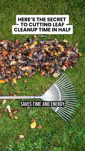 Here’s the secret to cutting leaf cleanup time in half. Do you blow leaves or rake them? Comment below! 👇🏻 #Lawn #LawnCare #Landscaping #LeafCleanUp #WilmingtonNC #LelandNC #HampsteadNC | Vinedresser Lawn and Landscape