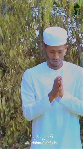 Addis neshida lyrics on TikTok