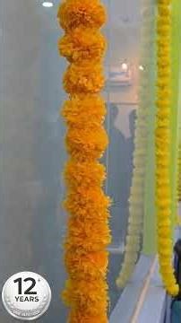 🥈 Honouring Loyalty with Silver | USR INFOTECH 12 Years | USR INFOTECH™ | usrinfo.tech