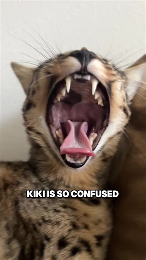 Changing her routine | routine