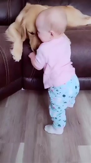 Heartwarming Interactions Between Babies and Dogs