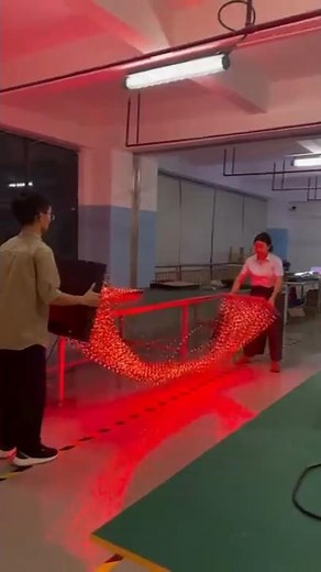 Students Create Incredible Hologram Project