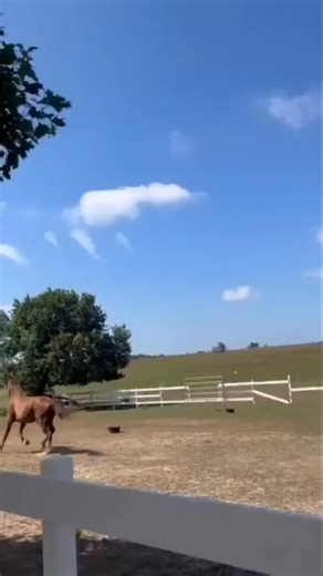 Acepilot Aviation 2.0 on Reels