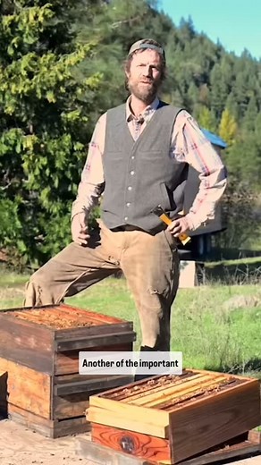 17 reactions · 11 comments | One of the core principles of Natural...