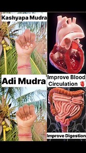 Kashyap Mudra & Adi Mudra benefits ❤️ Activates the Muladhara chakra, which is associated with grounding and stability May improve blood circulation (limited research) May improve oxygen flow throughout the body May reduce snoring May benefit digestion (when practiced with specific yoga poses) Start with Kashyapa Mudra: Hold for 5-10 minutes to cultivate positivity, calmness, and focus. Transition to Adi Mudra: Hold for another 5-10 minutes to promote relaxation and potentially improve oxygen fl