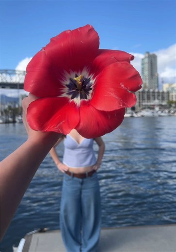 Beautiful Tulip Trends for Your Floral Aesthetics