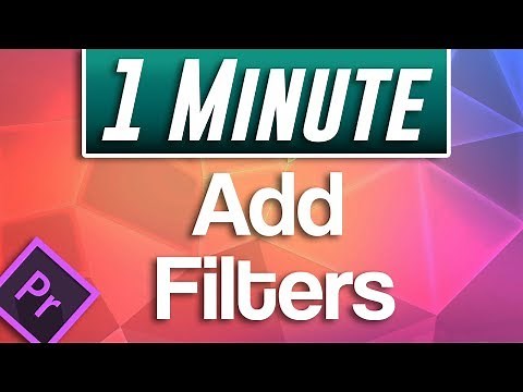 Premiere Pro : How to Add Filters to Video