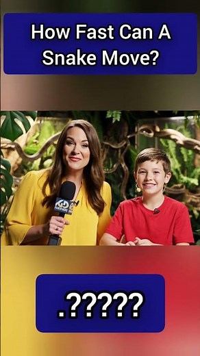 How Fast Can a Snake Move? | Baby Knowledge Network | bkn