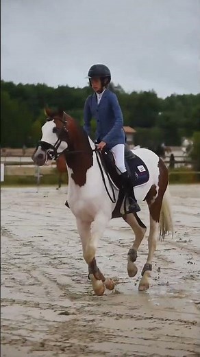 🎥🐴 Ambiance au paddock – Finale du CSO As Élite 2025 à Lamotte-Beuvron