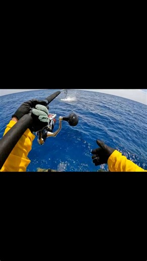 7.1K views · 128 reactions | This happens because: 1. Feeding...