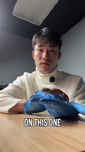 Signs Your Gecko Is Healthy vs Sick: Key Indicators