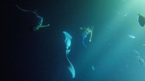 Making magic with @bigislanddivershawaii behind the scenes ✨@sharkgirlmadison @_oceangypsy @angelinaventurellaphoto @yamanakajason @under_wander @whiskyjames @cmallams @bathingsuits_and_rubberboots ✨ #hawaii #nightdive #ocean #mantarays #onceinalifetime #team #family #mermaid #mermaids #behindthescenes #onlyinhawaii #thebigisland #bigislanddivers #saveourocean #oceanconservation #gopro #light #nightshoot | Project Mermaids www.projectmermaids.com