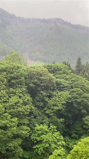 野鳥の声、川の音、山の緑。