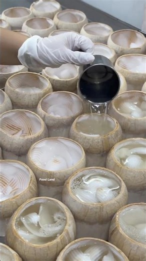 The forner people are not like coconut juice 😯 #liriklagu