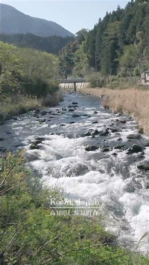 Houses Lined up Along the Clear Stream | Japan’s Mountain Village, Mori, Kochi