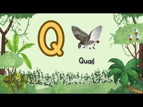 Jungle Animals A–Z | Fun Alphabet and Animal Learning Video for Kids