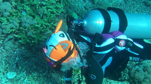 HYDRONE 3mm Fox Scuba Hood Puppy Hood with Dog Cute Flexible Tongue🤿🐶🦊Get More Details👇👇 https://hydrone.shop/collections/dive-hood/products/3mm-fox-wetsuit-hood 🤿Can Be Used as Scuba Hood and Surf Hood. 🤿Cartoon Fox Wetsuit Hood Design Easily Identified Underwater. 🤿Cute Flexible Tongue. 🤿3mm Premium Neoprene Keep Warm and UV Protection. 🤿Adjustable Chin Velcro Strap for Free Size and Easy Wear. 🤿3D Cutting and Multi-Z Stitch Fit for Comfort. 🤿Air Vent Minimizes Ballooning. 🤿Ear, H