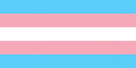 Trans Day of Visibility -