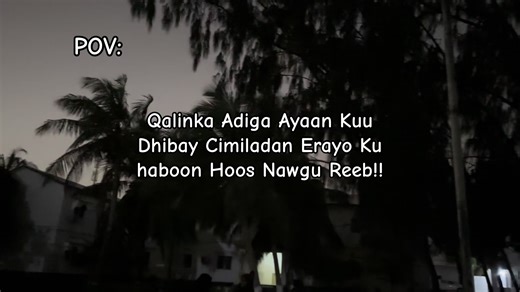 ‏#Cameradasimad #simaduniversity #foryou #fyp #@SIMAD University
