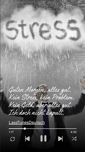 Kein Stress, kein Problem #deutsch #lernen #musik #familie #fürdich #geburtstag #viral #lustig