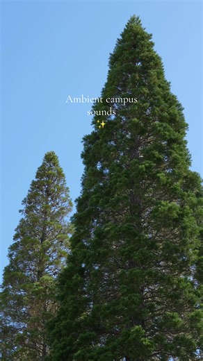 Explore the Beauty of University of Otago Campus