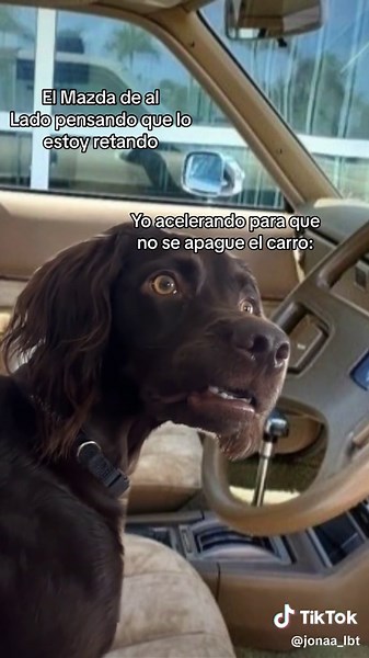 Mazda Driver Meme Compilation