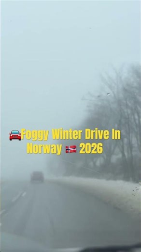 🎬 Foggy Winter Drive in Norway 🇳🇴 21.02.2026