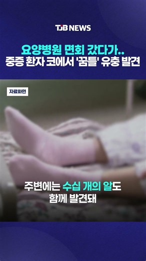 요양병원 면회 갔다가..중증 환자 코에서 '꿈틀' 유충 발견｜ TJB 대전·세종·충남뉴스