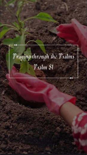 1.2K views | Psalm 81: A Call to Listen and Praise God wants to bless us—but will we listen?  Open wide… He will fill you. Link in bio #Psalm81 #ListenToGod #PraiseHim #GodIsFaithful #ObedienceAndBlessing | I am a Christian | Facebook