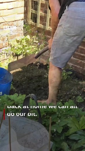 70K views · 758 reactions | The UK's ponds are a rich source of biodiversity - but they dramatically declined in the 20th Century. Even building an artificial pond in your garden can help boost wildlife.  https://bit.ly/3od8VAZ | BBC News | Facebook