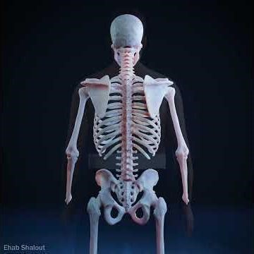 What Scoliosis Really Does To Your Spine 🦴 (3D Animation)