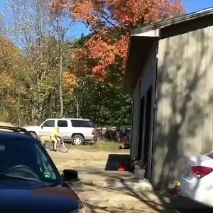 Funny conflict between people and animals 😂 👉👉👉 Join our group : Animals Life | Beautiful Animals