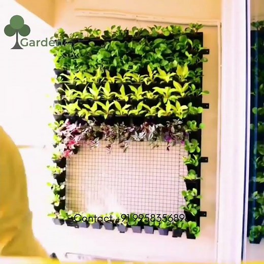 Natural Vertical Garden Installation | Natural Green Wall Design | Green Wall Ideas #viral #delhincr
