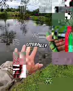 52K views · 778 reactions | Topwater Fishing with a Snake Lure! | Kickin Their Bass TV | Facebook