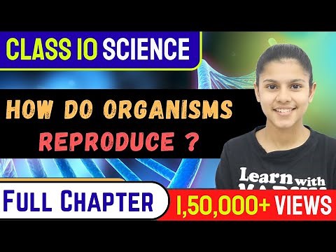 How do organisms Reproduce Class 10 Science NCERT CBSE FULL CHAPTER