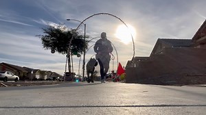 8K views · 334 reactions | Important Tips for Walking & Training Your Cane Corso | Raising Bane | Facebook