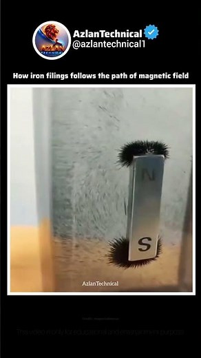 How Iron Filings Reveal Magnetic Field Lines #physics #experiment #demonstration #science