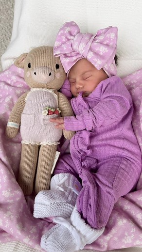 Little and Fern on TikTok