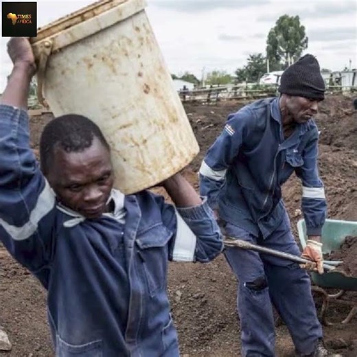 Gold Rush Erupts Near Johannesburg After Lucky Find in Cattle Pen