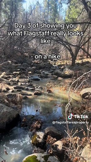 Flagstaff Area Property on TikTok