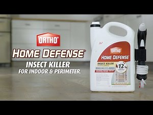 How to Kill Insects Indoors and Around Your Perimeter | Ortho® Home Defense®