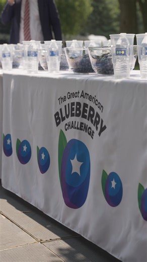 🫐 Blueberry madness! 🫐 Major League Eating and the U.S. Highbush Blueberry Council made history with the first ever blueberry eating contest at our Major League Pickleball event! Bertoletti, @deepdisheats ate over 18 pounds of blueberries in 8 minutes 🤯 Thanks to our sponsor, @blueberries everyone had a blast! Who knew blueberries and pickleball made such a great combo? | Major League Pickleball