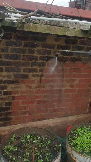 Heavy carbon removal off redbrick wall. #oldham #ecleanse #HolidayModeActivated #ecleanse #oddlysatisfying #pressurewashing #steamcleaning #beforeandafter #cleantok #redbrick