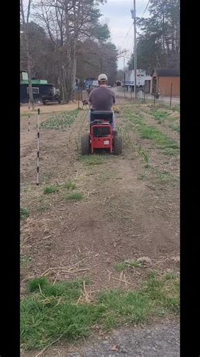 17 reactions · 8 comments | The funny farm isn't complete without my humble, whole hearted & hilarious husband who makes all the hard work lots of fun!  | Brookstree Farm | Facebook