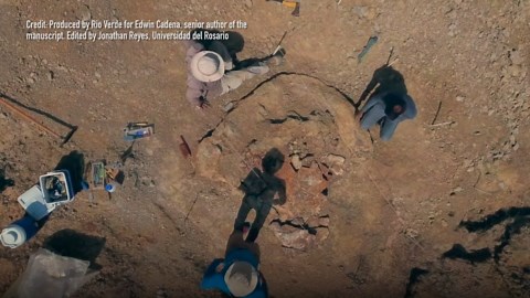 Uncovering the truth behind a giant turtle shell discovery