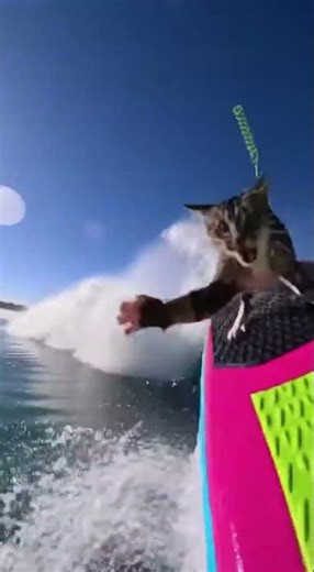 Cat Surfs a Giant Wave and Wipes Out!