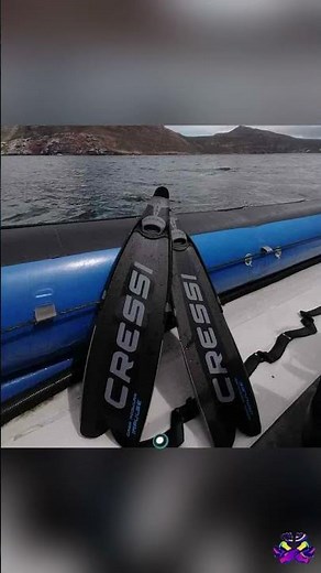 Discover Cressi diving fins for snorkeling and swimming.