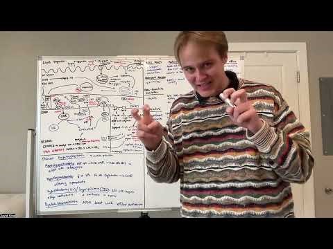 Lipid Digestion/Circulation/Lipogenesis/Lipolysis/Pharmacology