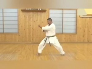 ☝🏻WHAT IS THE KATA NAME ⁉️ ✌🏻WHAT'S THE STYLE ⁉️🙂 STAY...LEARNING KARATE | Learning Karate