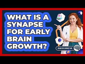 What Is A Synapse For Early Brain Growth?